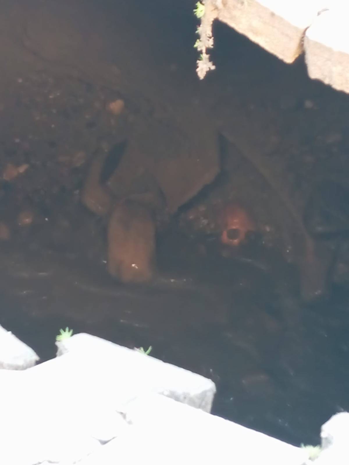 Turgutlu'da şok! Yağmur sonrası çöken yolda kafatası ve kemikler bulundu