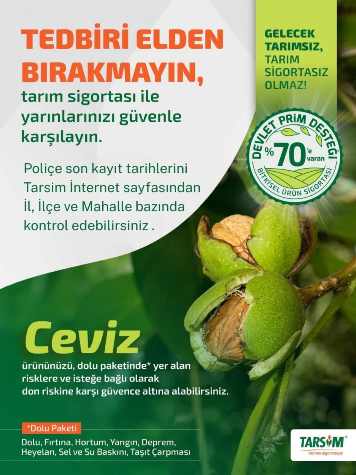 Ceviz Üreticilerine Tarım Sigortası Uyarısı