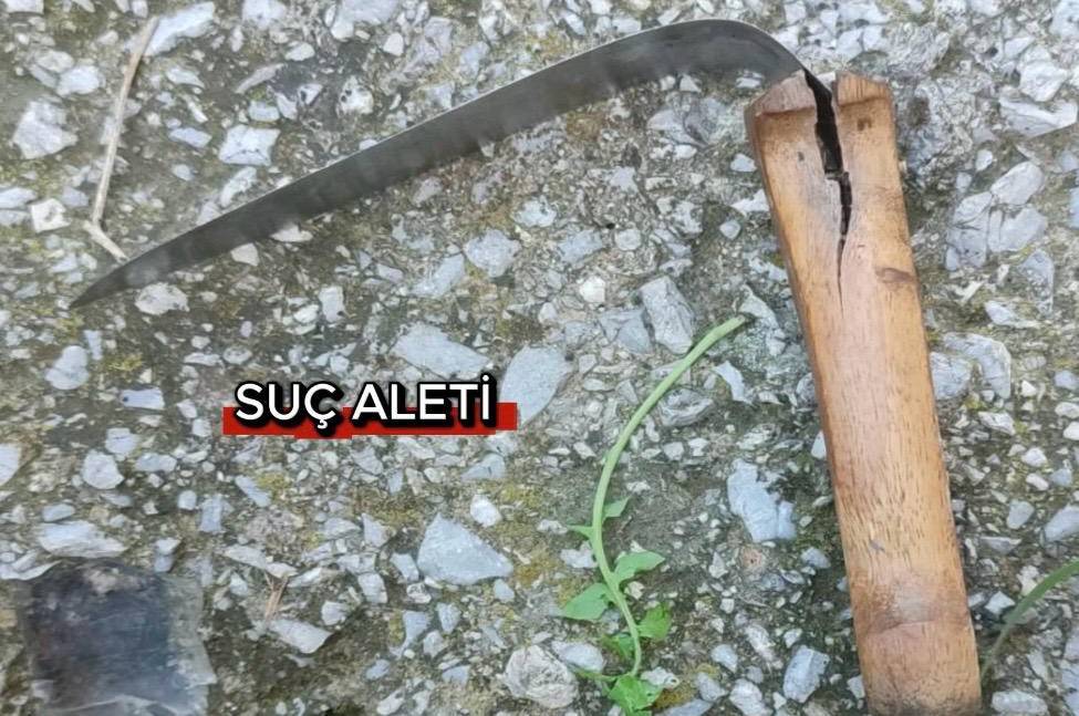 Korkunç Cinayet: Hırsızlar 81 Yaşındaki Ev Sahibinı Öldürdü