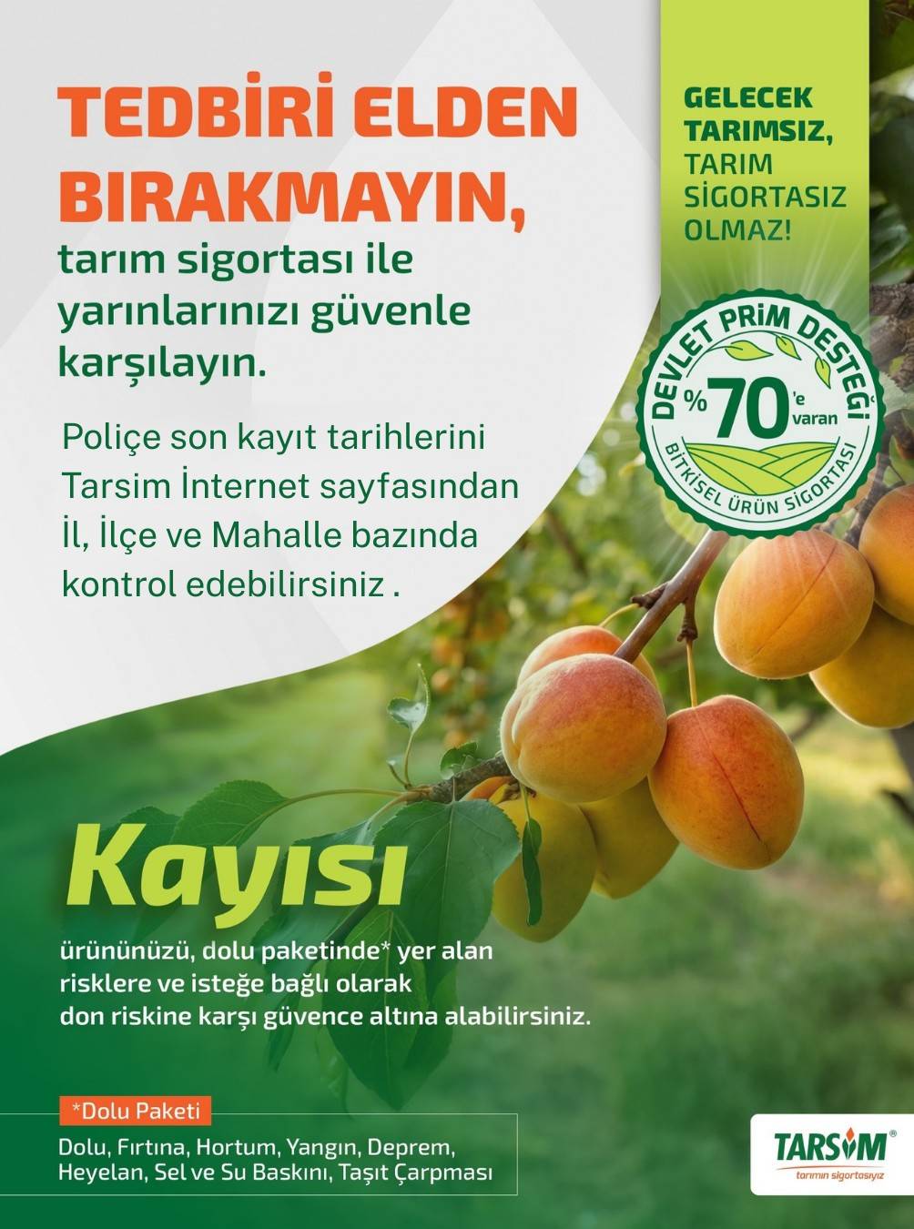 Manisa İl Tarım’dan Kayısı Üreticilerine Sigorta Uyarısı